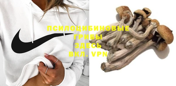 стаф Новокубанск