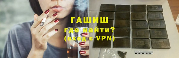 стаф Новокубанск