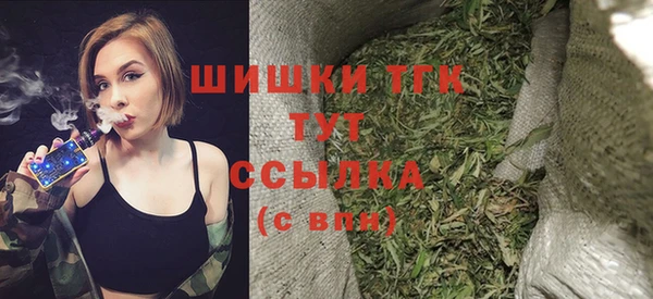 стаф Новокубанск