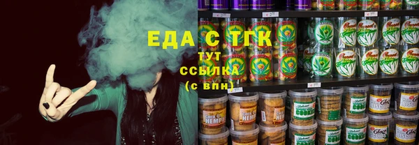 стаф Новокубанск