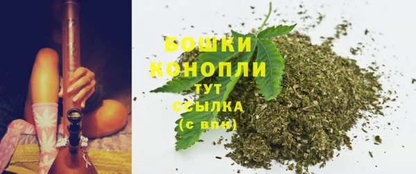 стаф Новокубанск