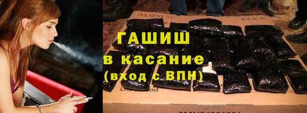 стаф Новокубанск