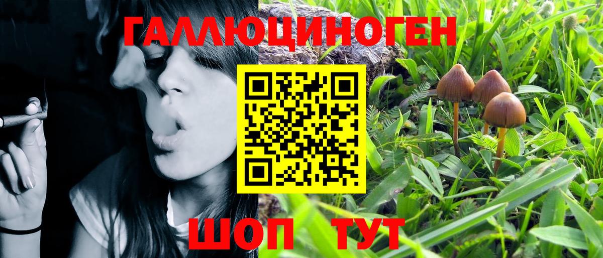 Псилоцибиновые грибы мухоморы Кумертау