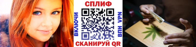 где найти наркотики  Кумертау  blacksprut зеркало  Конопля ГИДРОПОН 